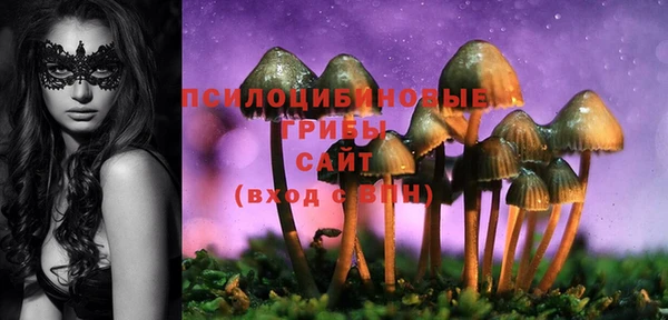 кокс Алексеевка
