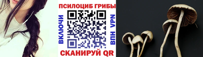 магазин  наркотиков  Неман  Галлюциногенные грибы GOLDEN TEACHER 